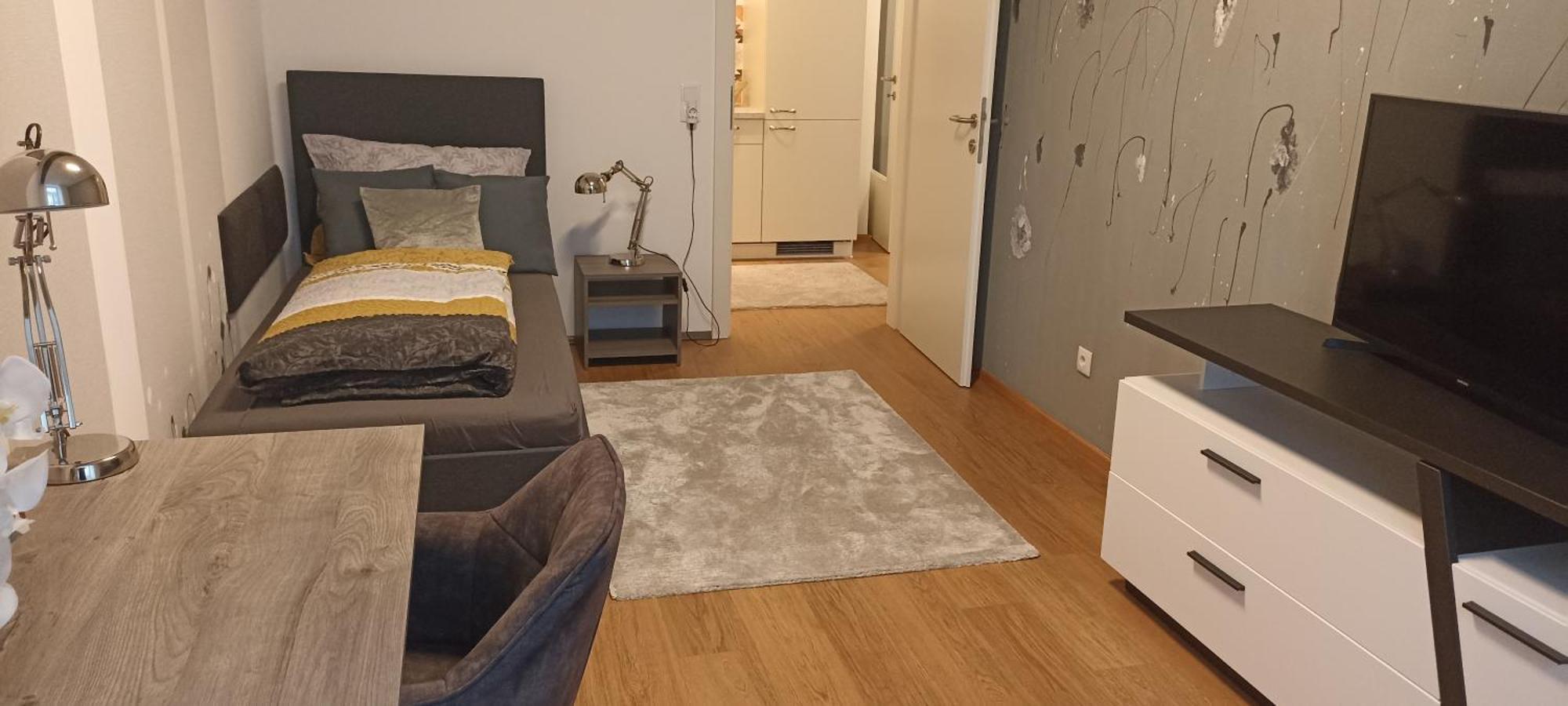 Wohnung In Leoben Zentrum Zwischen Hauptplatz Und Stadtpark Εξωτερικό φωτογραφία