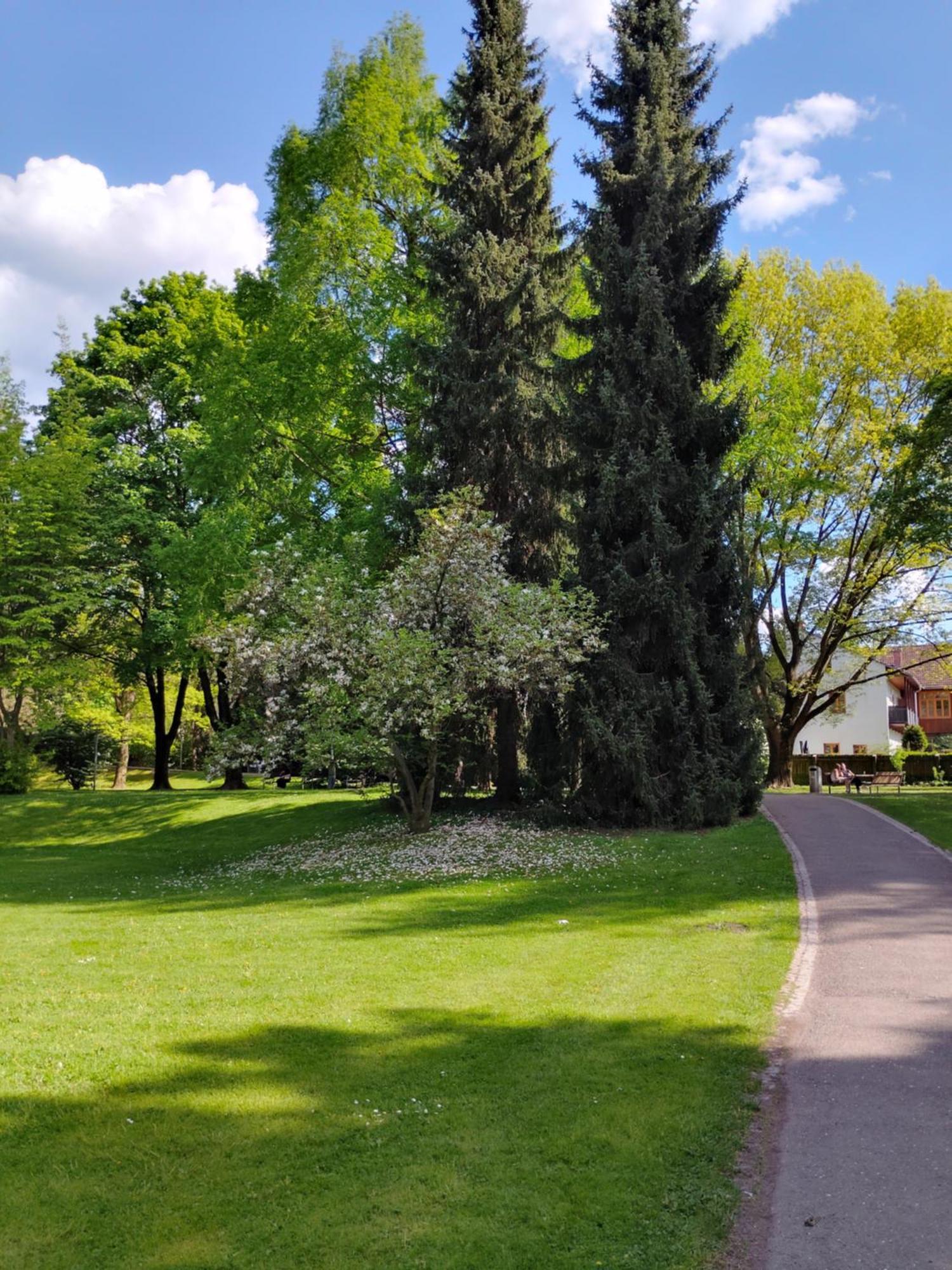 Wohnung In Leoben Zentrum Zwischen Hauptplatz Und Stadtpark Εξωτερικό φωτογραφία